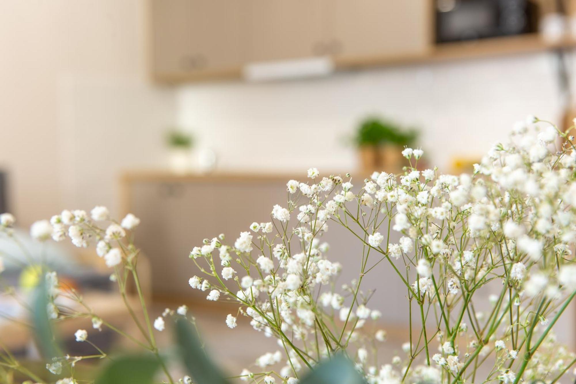 Apartamenty Kdn Na Rysiej كاتوفيتسه المظهر الخارجي الصورة